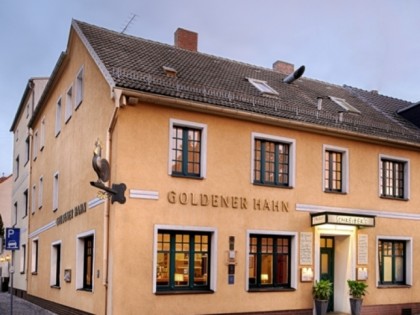 Photo: Goldener Hahn